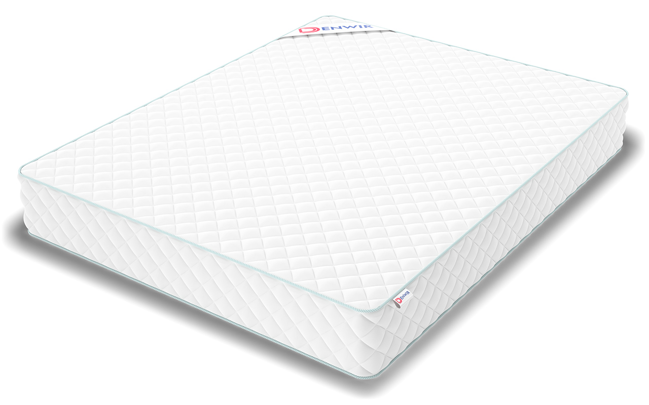 Denwir Simpl Roll Foam 24 фото 7