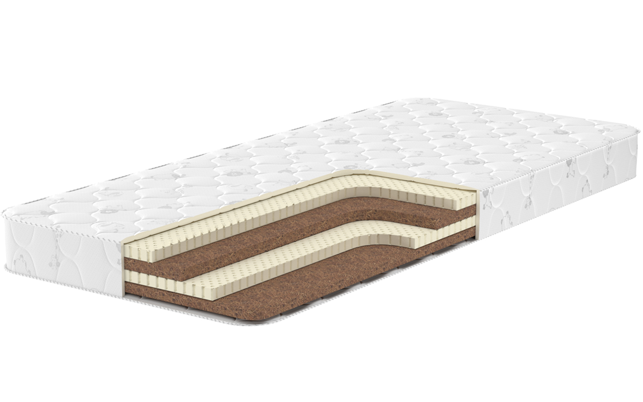 Dimax Спортсмен Плюс